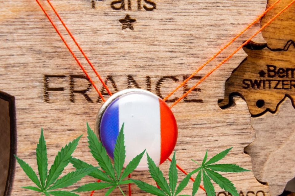 Bandeira francesa com folhas de cannabis