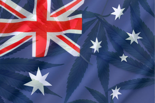 Bandeira australiana e folhas de canábis