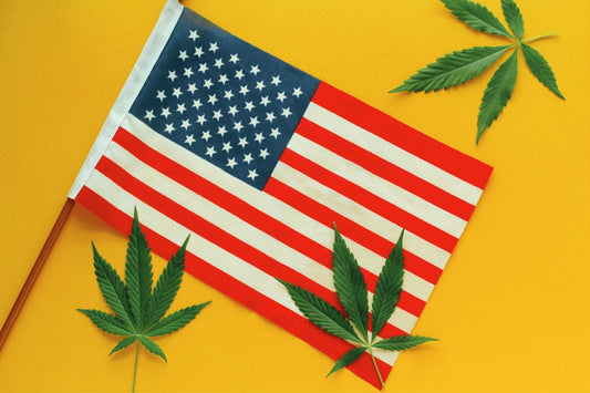Bandeira dos EUA com três folhas de canábis