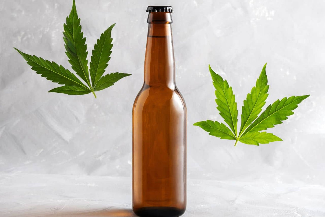 folhas de cannabis e uma garrafa de cerveja