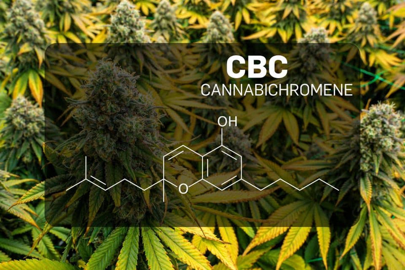 Estrutura química do canabicromeno (CBC)