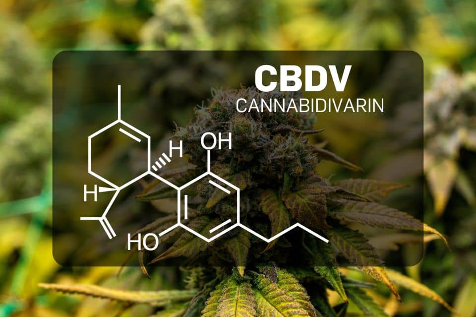 Estrutura química da canabidivarina (CBDV)
