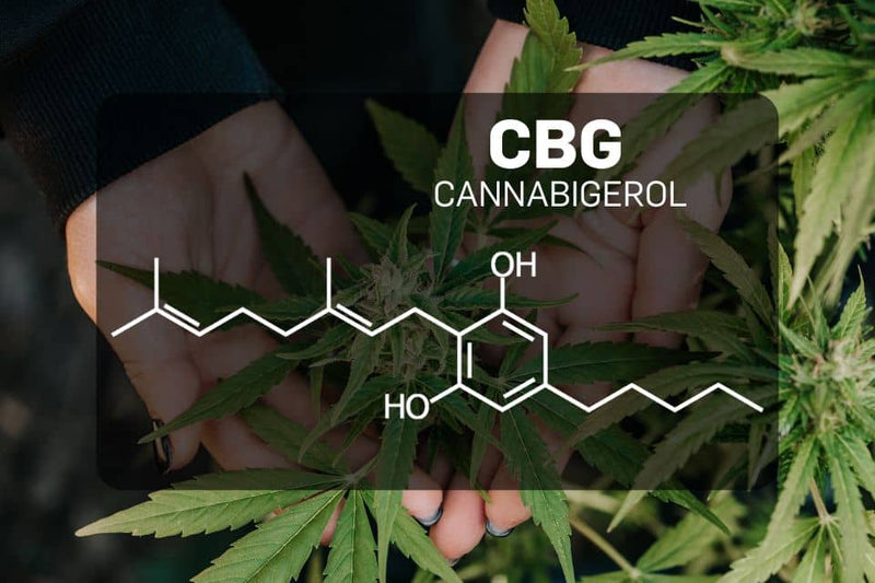 Estrutura química do CBG (canabigerol)