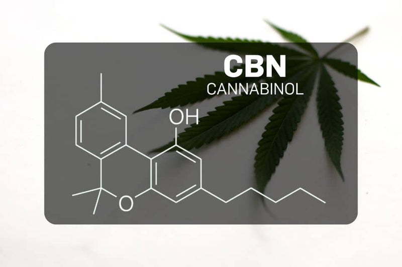 Estrutura química do CBN (canabinol)