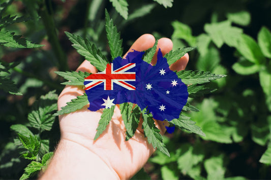 Cannabis na Austrália