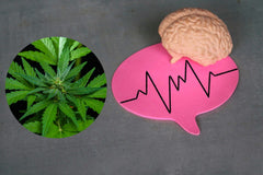 Cannabis para tratamento neurológico