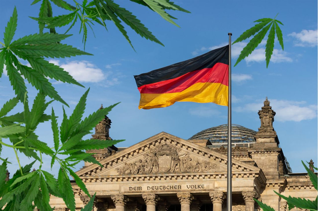 Folha de cannabis em frente ao Reichstag