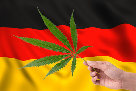 folha de cannabis em frente à bandeira alemã
