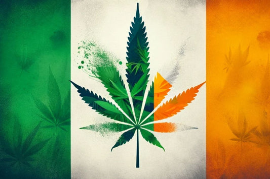 Reforma da política de drogas da Irlanda: Descriminalização sim, legalização não