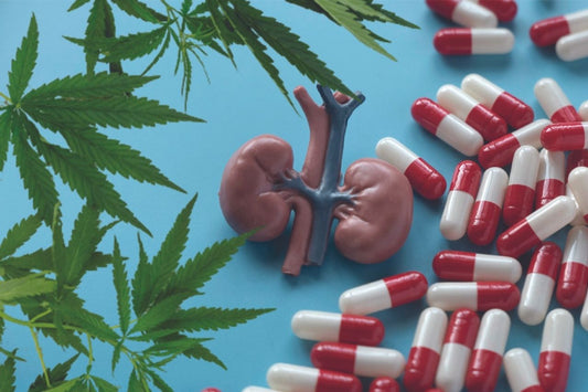 Cannabis, Rim, Medicamentos sujeitos a receita médica