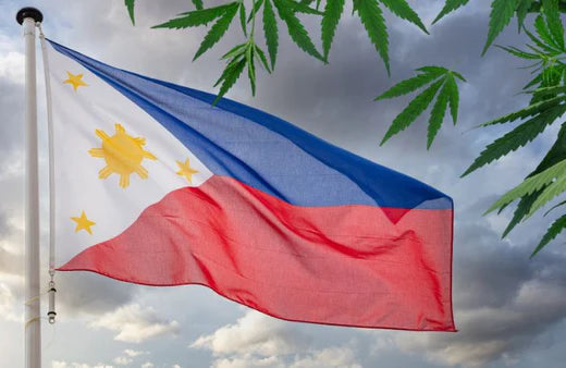 Uma bandeira das Filipinas e folhas de canábis