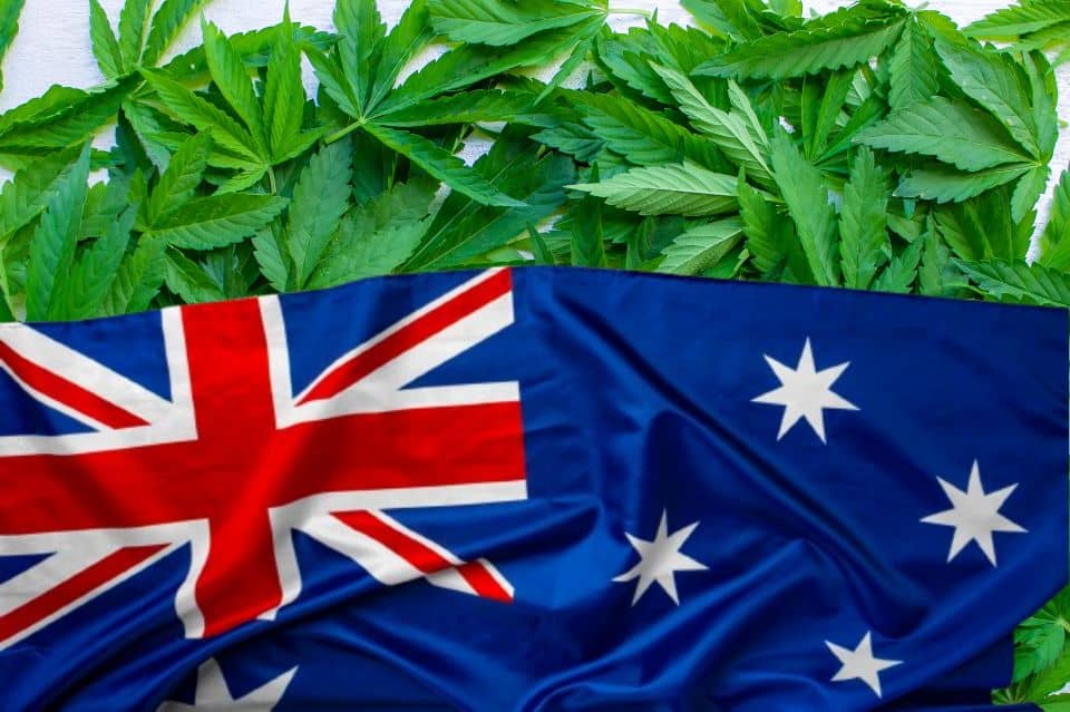 Folhas de cannabis e bandeira australiana