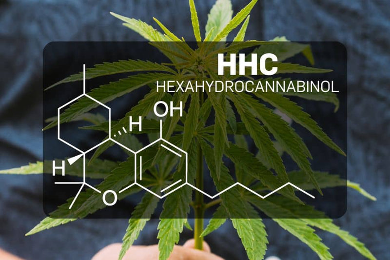 Estrutura química do HHC (hexa-hidrocanabinol)