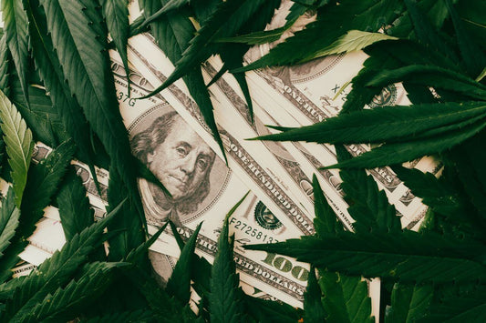 Dólar e folhas de canábis