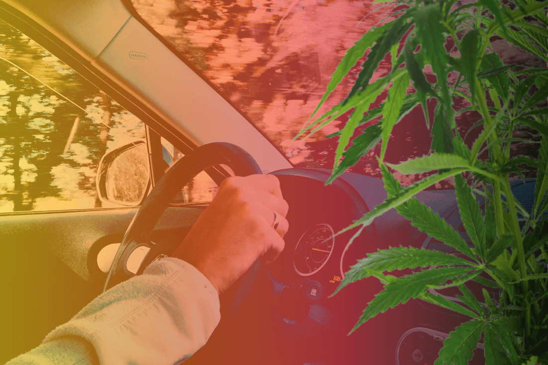 Legalização da canábis na Alemanha