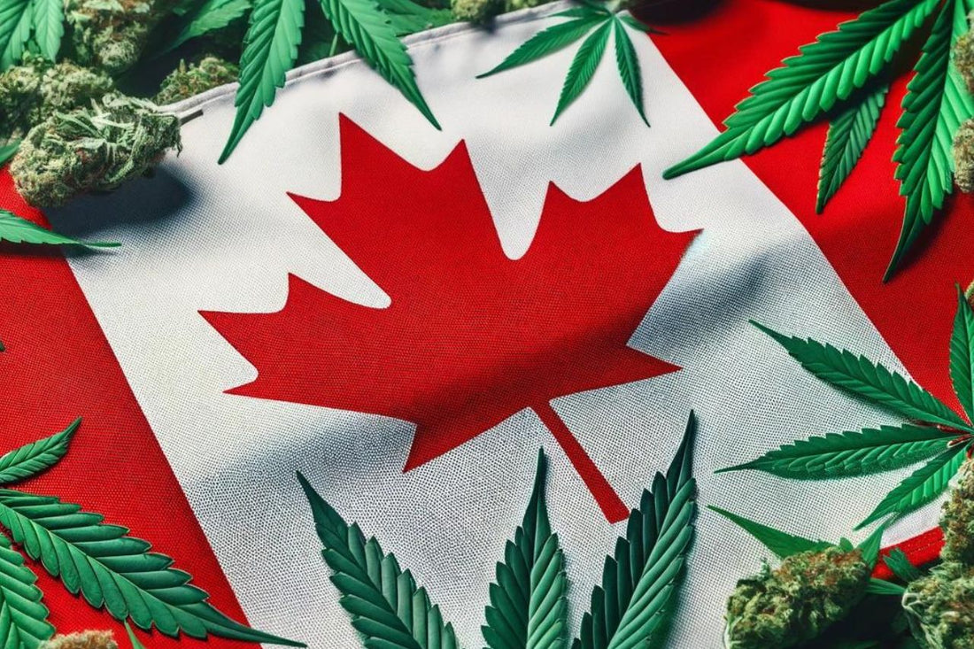 Bandeira do Canadá e folhas de canábis