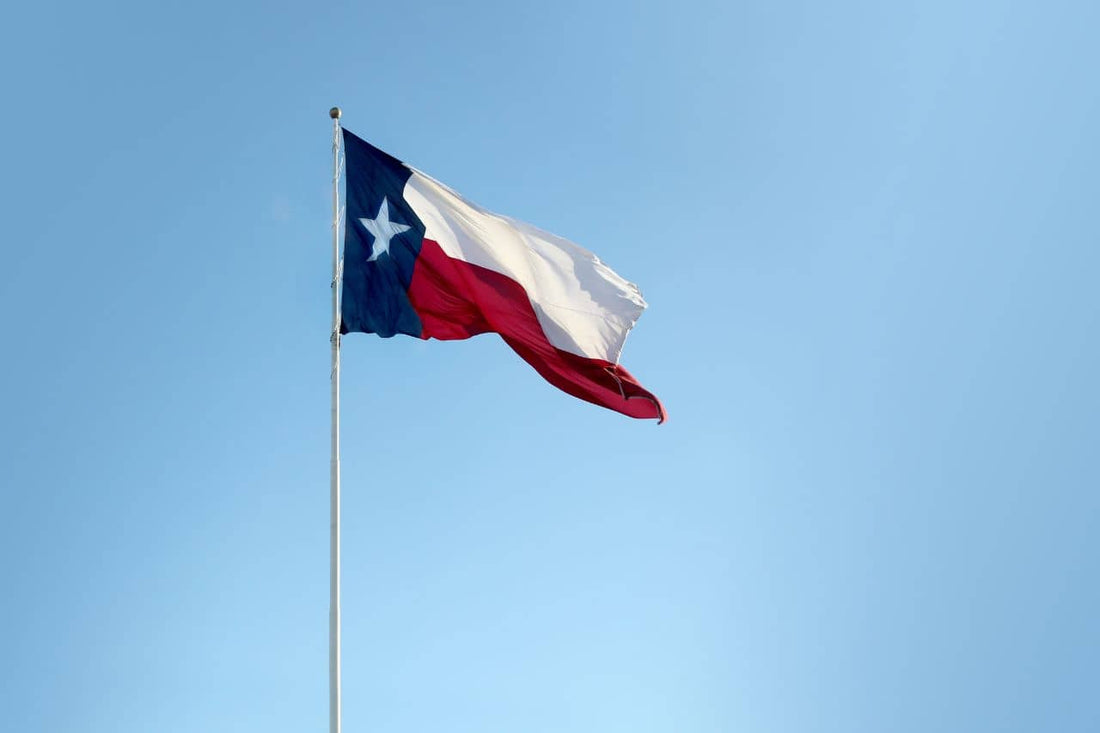 Bandeira do Texas tremulando