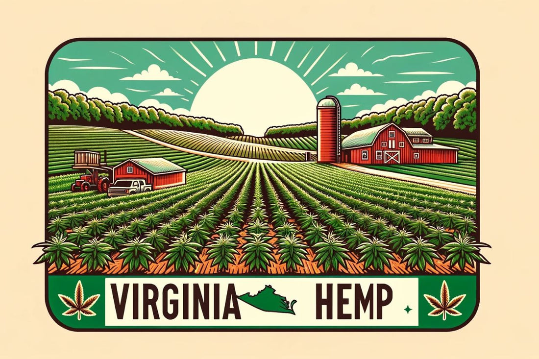 Um desenho de uma fazenda de cânhamo na Virgínia