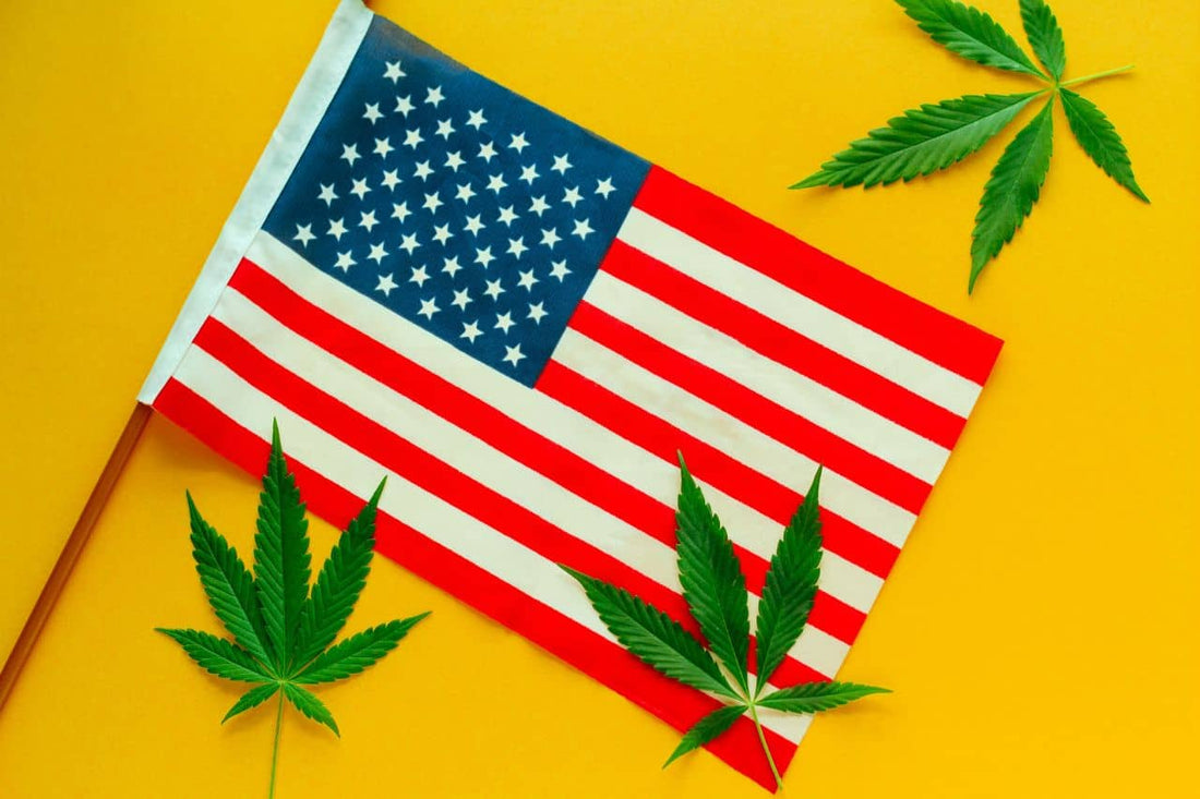 Bandeira americana com folhas de cannabis