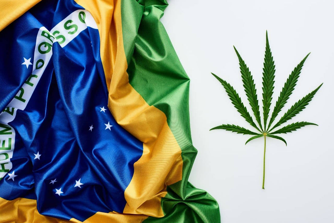 Bandeira do Brasil e folha de cannabis