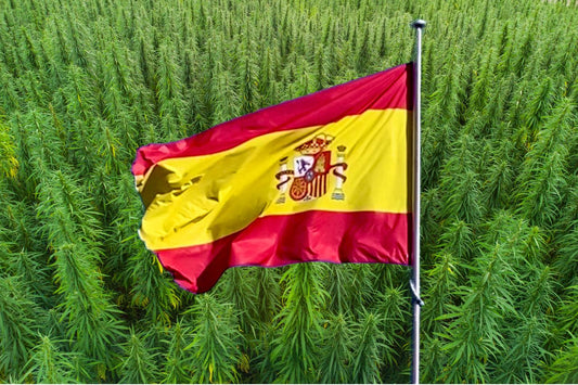 O mercado do CBD em expansão em Espanha: Uma análise aprofundada