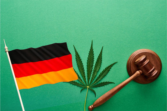 O mercado em expansão do CBD na Alemanha: Tendências, legalidades e percepções