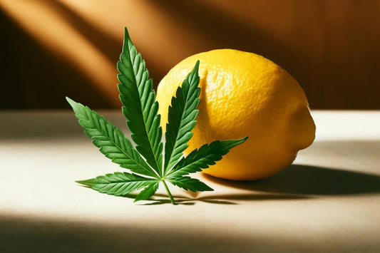 Um limão e uma folha de canábis