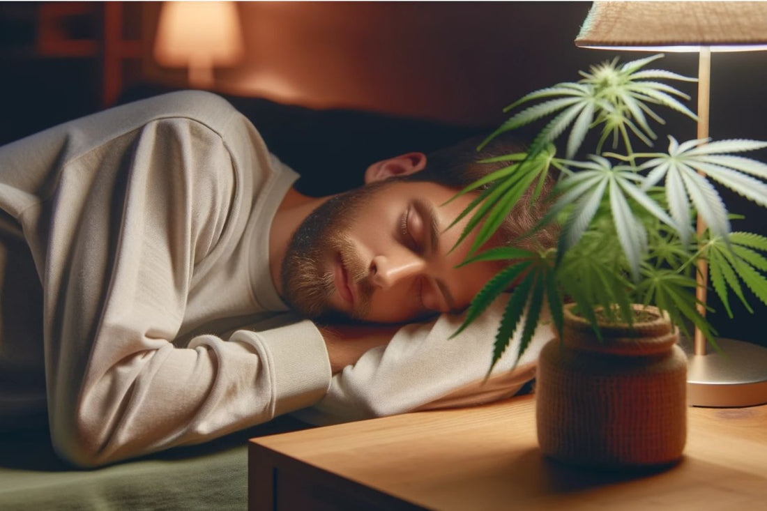 Homem a dormir com uma planta de canábis ao seu lado