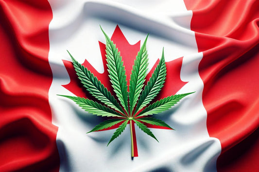 Folha de cannabis em frente à bandeira canadiana