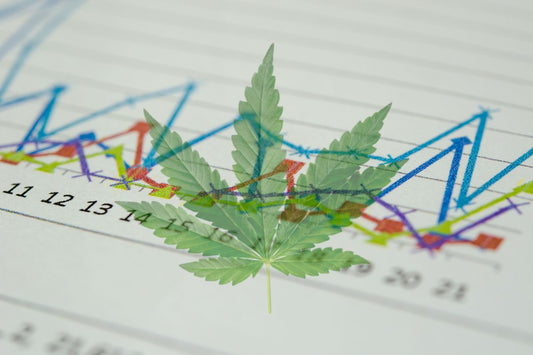  Cannabis medicinal: Ascensão e impacto global