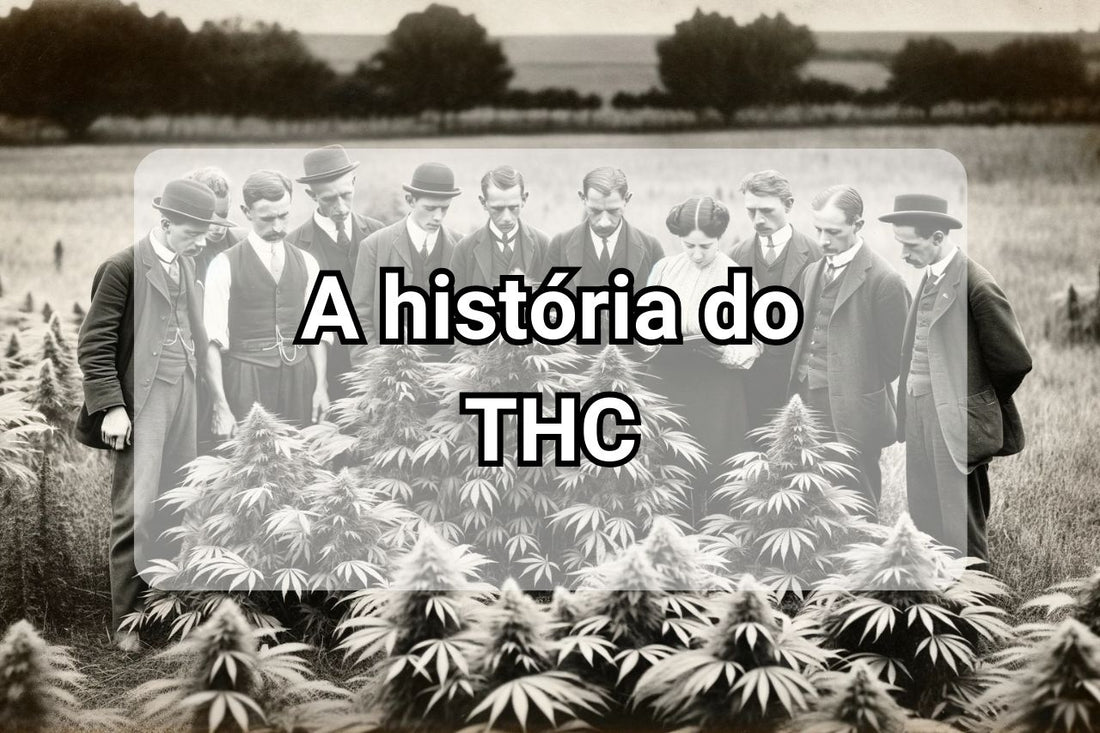 A história do THC