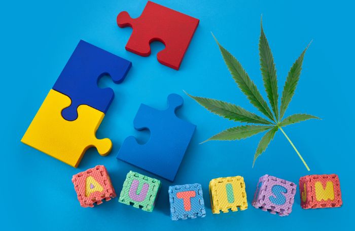 Um puzzle que simboliza o autismo e uma folha de cannabis