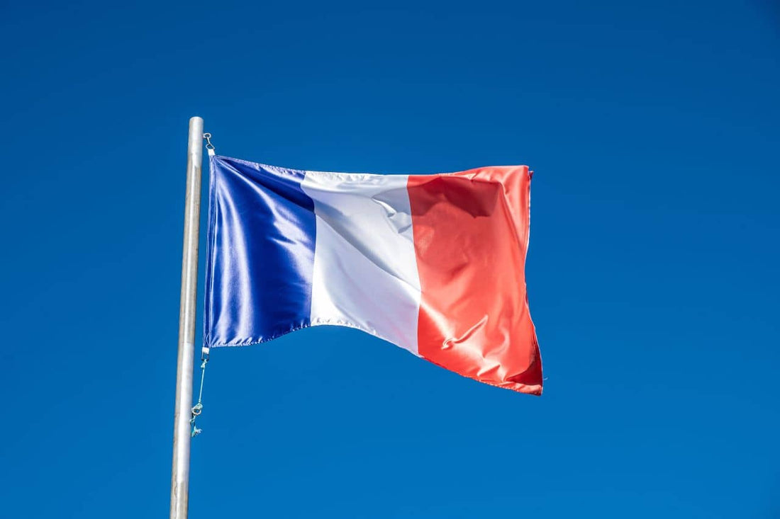 Bandeira da França tremulando