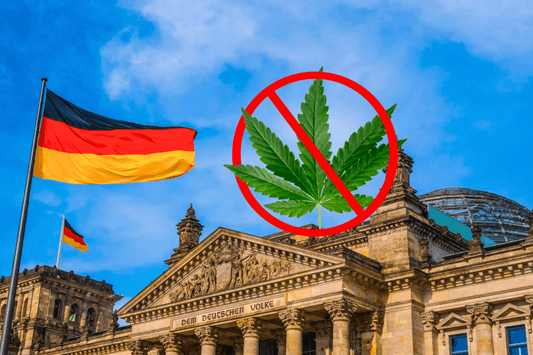 Legalização da canábis na Alemanha