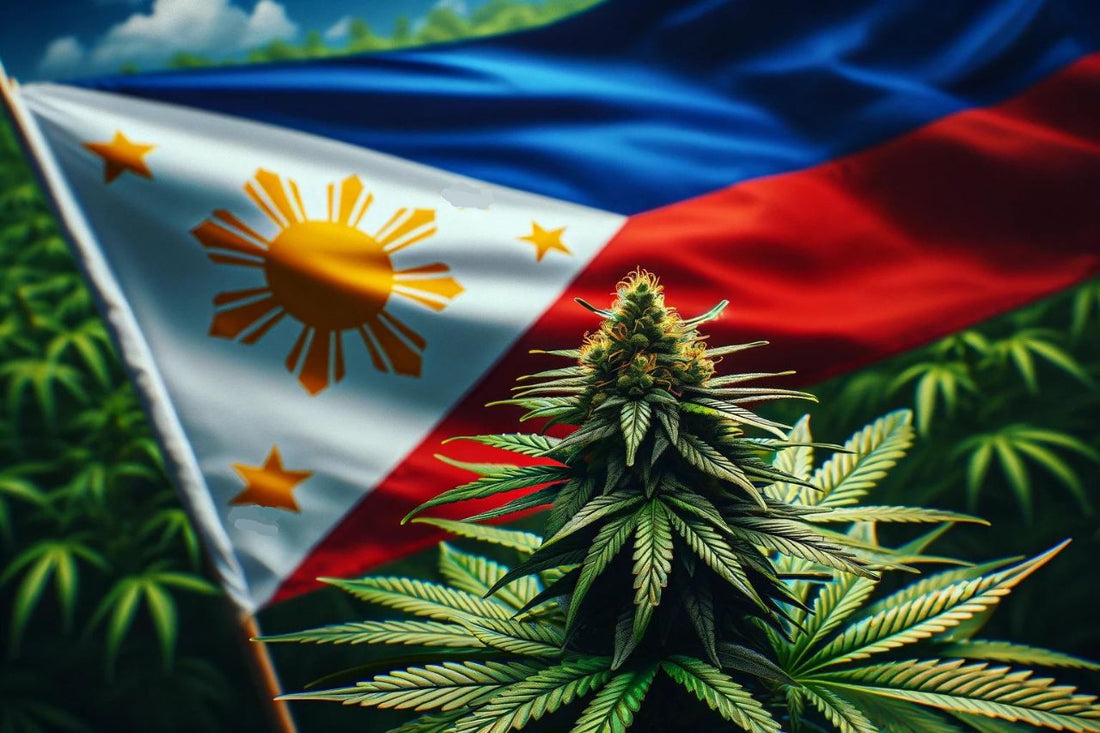 Planta de canábis e bandeira das Filipinas