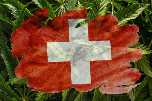 Bandeira da Suíça com uma planta de canábis no fundo