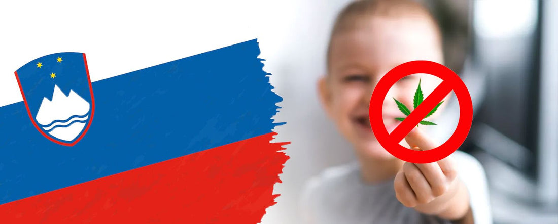 Eslovénia proíbe CBD após produtores locais envenenarem crianças