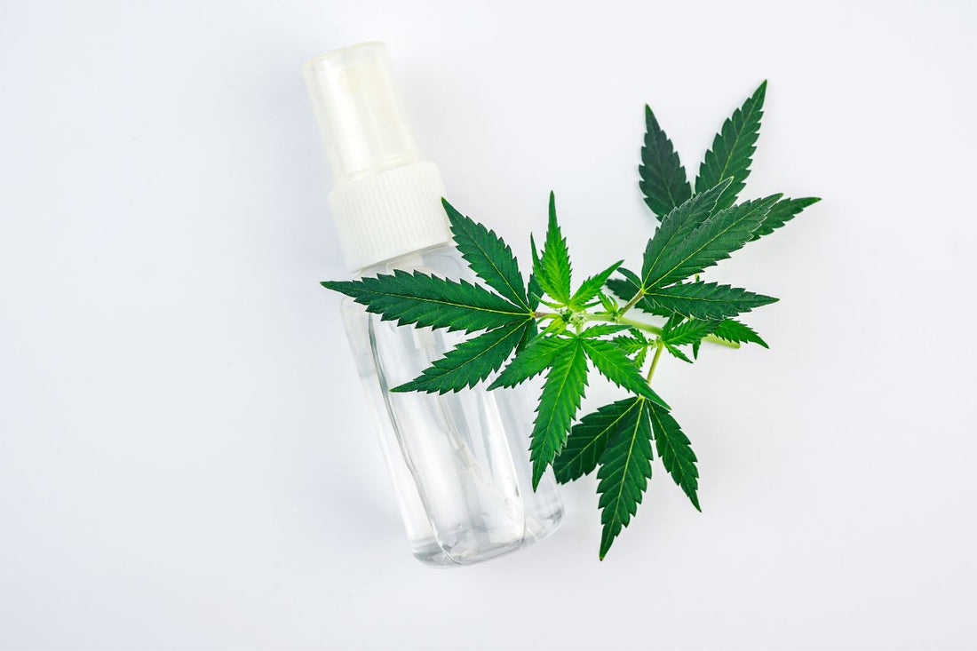 Spray de cannabis: Um farol de esperança