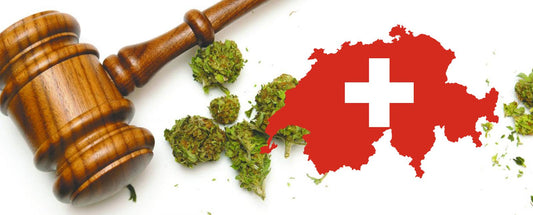A Suíça está a trabalhar na legalização da marijuana medicinal