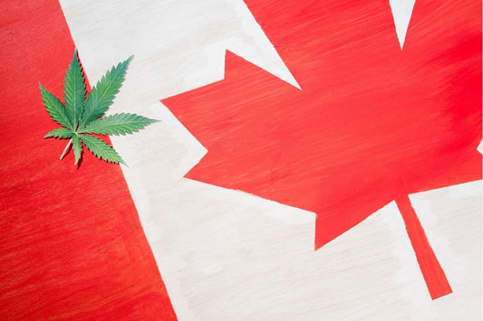 Folha de cannabis na bandeira do Canadá