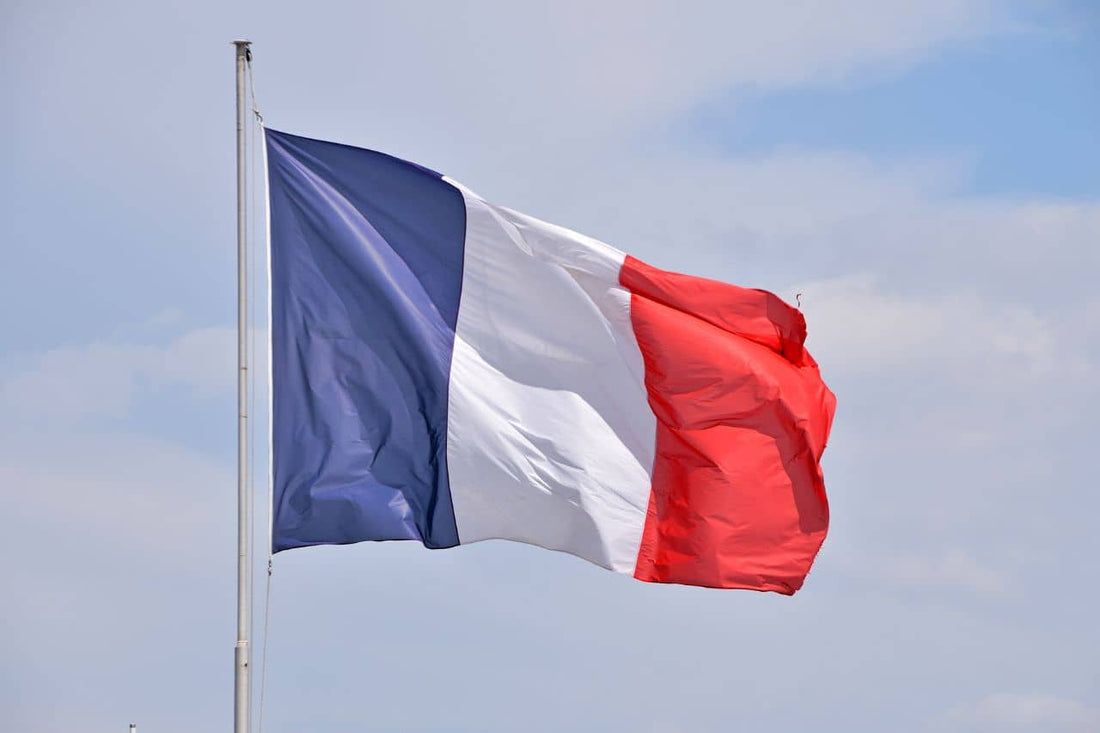 Bandeira da França tremulando