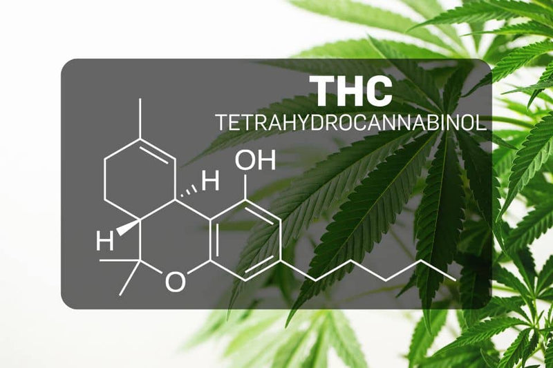 Estrutura química do THC (tetra-hidrocanabinol)