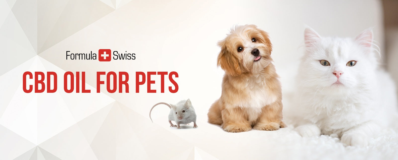 CBD para animais de estimação? O guia completo para entender como é que o CBD pode ajudar animais e donos