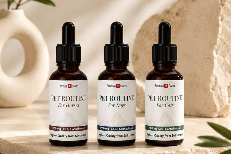 Óleos de CBD Pet Routine da Formula Swiss para cavalos, cães e gatos sobre uma superfície de pedra