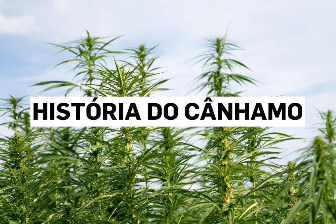 História do cânhamo