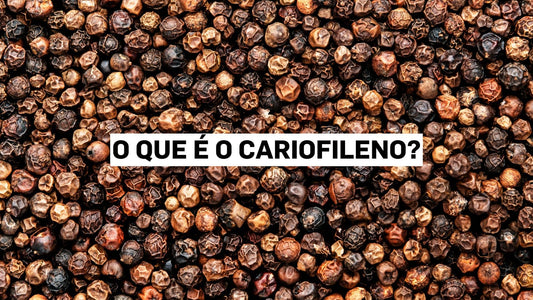 O que é o cariofileno?