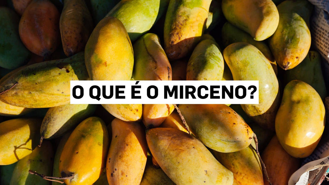 O que é o mirceno?