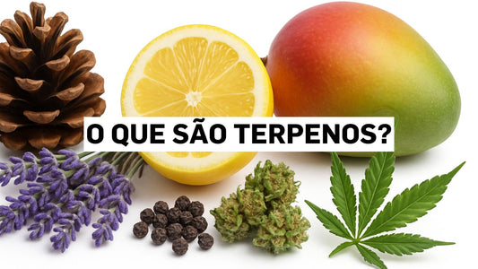 O que são terpenos?