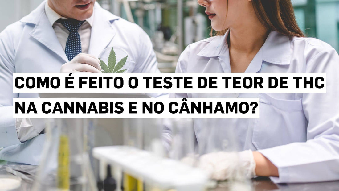 Como é feito o teste de teor de THC na cannabis e no cânhamo?