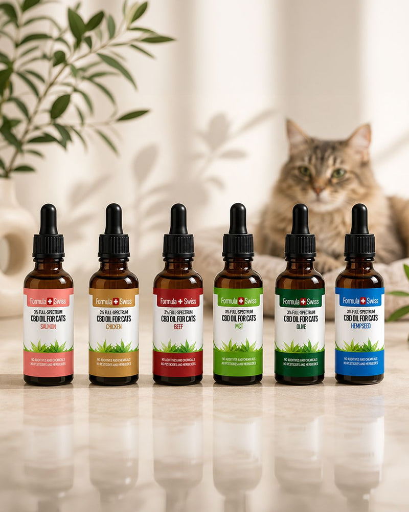 Óleo CBD para gatos